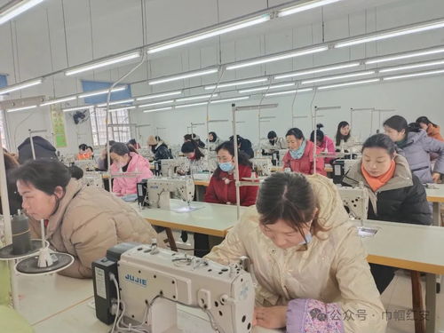 巾帼联动送技能，多措并举促就业——信息技术咨询服务助力妇女零距离发展