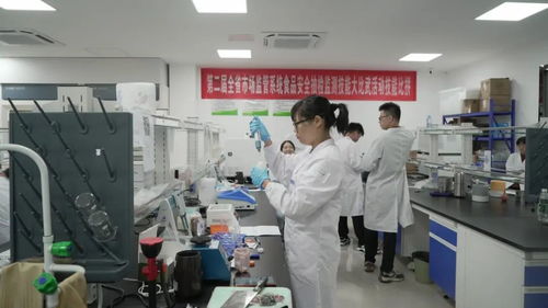 江西全省市场监管系统食品安全抽检监测技能大比武活动圆满落幕，信息技术咨询服务助力监管能力提升